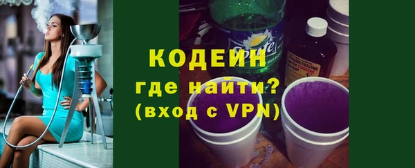 шишки Абаза