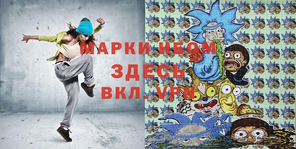 шишки Абаза