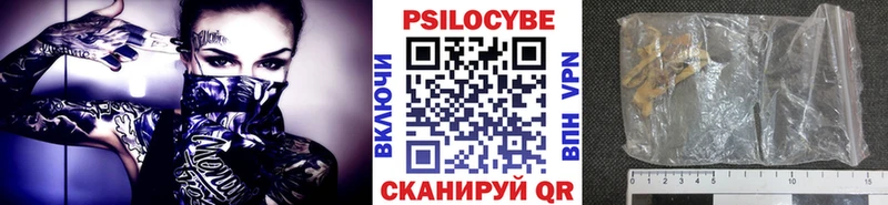 Псилоцибиновые грибы GOLDEN TEACHER  это формула  Уварово  закладки  кракен вход 